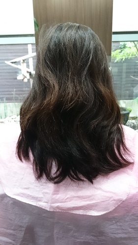 DSC_1203.JPG aya.JPG